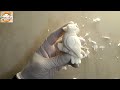 Soap carving/ Parrot