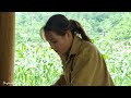 Pick melons to sell and use bamboo to design a beautiful bed | duyen daily life