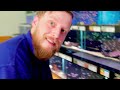 All In One Kit Aquarium: Community Fish Tank Setup (Aquascape Tutorial)