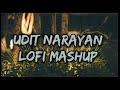 Udit Narayan 's Best of 90s Evergreen 😌☺️ Lofi Song | Udit Narayan| LOFI