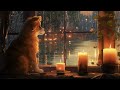 Music For Dogs | Abstract Animation & Soothing Sounds for Dogs to Sleep To (10 Hours)