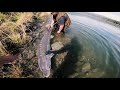Bank Fishing for Keeper Sturgeon (My Tackle, Baits, and River Structure Tips)