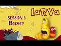 Stormy Holiday Bus  - Comics | Larva Cartoon - Mini cartoon Movie | LARVA Official.