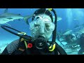 Nassau Bahamas Stuart Cove's Shark Arena Shark Dive 20191022