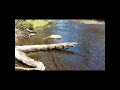 test panning #family #goldpanning #gold #goldprospecting #adventures #fun