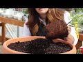 Mixing up Acidic Soil to Plant Blueberries! 💙🌿// Garden Answer