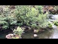 Natural Bridge on the Rogue River looking upstream