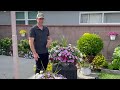 Save Big and Transform a Clearance Container into a Stunning Showpiece |Gardening with the Williams'