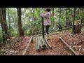 Her bad husband kicked her out of the house - Shebuilt a small house in the forest | Lý Tiểu Lai