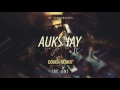 The Chainsmokers - The One (William Yang and Aukshay) | Cover Remix