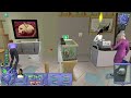 Sims 2 Elsewhere - The Animal Shelter | Caring for Cats and Dogs