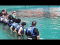 Dolphin Encounter-Sea Life Park