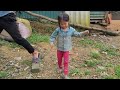 Harvesting forest fruits | for sale to buy food | Lý Văn Chiêu