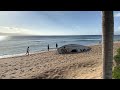 [4K HDR] Kaanapali Beachwalk Walking Tour | 2023 | Kaanapali, Maui, Hawaii