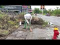 Residents said this sidewalk has not been cleaned for more than 5 years