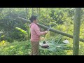 120 days of single mother and child building a bamboo house, gardening and taking care of the child