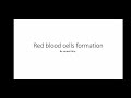 AHP Expertise Physiology Lecture-Formation of Blood Cells.