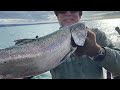 Puget Sound Blackmouth closed again!?! What's the future of this fishery?