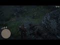 RDR2 Hunting Legendary bear