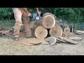 Ported Homelite Super XL Automatic Chainsaw rips through oak