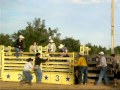 Bull Riding Zolfo Springs, Florida