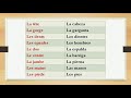 Curso Completo de Francés - Lección 12: El verbo Avoir
