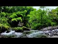 Beautiful Water River SoundsPeaceful Fall into Deep Sleep , For Sleeping For Studying f…