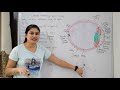 Human Eye Anatomy & Physiology in Hindi | Structure | Parts | Functions  | Rods & Cones