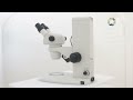 Manejo del microscopio compuesto y estereoscópico