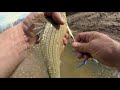 WHITE BASS RUN!!! Denton Creek, TX