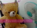 how to clean your teddy bear