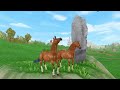 Star Stable - My Breeding Roleplay Storytime 😳