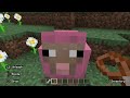 Finding a pink sheep, AGAIN!!!