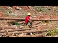 Logging El Cholo Choker setter