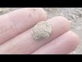 A Single Moment Can Change Everything | Unexpected Medieval Finds | Metal Detecting UK | #medieval