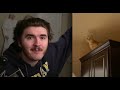 Reacting to We Rate Dogs
