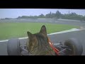 Cat driving Formula One for the first time
