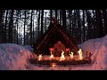 Surviving a Freezing Cold Night with a Long-Log Fire | 2 Days Solo Bushcraft