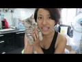 DIY Cookie Cutter & Tuna Cookie Recipe for Cats & Dogs!