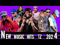 Diamond Platnumz _ft_ Chris Brown & Jason Derulo _ Fall in Love ( official Music Video) #2024