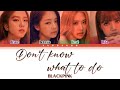 [1 HOUR] BLACKPINK (블랙핑크) - 'Don’t Know What To Do' Color Coded Lyrics [Han/Rom/Eng]