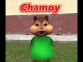 Chamoy Meme in different speeds