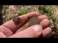 We Found OLD COINS In The PADDOCK! Metal Detecting A COLONIAL FARM | Minelab MANTICORE | Stef Digs