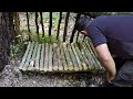 Building a survival shelter in the forest/camping with my dog/bushcraft shelter/ cows in the forest
