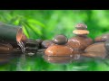 Healing music 🎵 Beautiful and comfortable sleep music, stress-relieving music, Background for Yoga