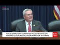 'Discrimination With A Fancy Acronym': James Comer Condemns DEI Practices