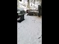 DANGEROUS Ash Tree Removal Inside Rear Deck 2' From Clients Home!