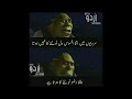 Miya biwi k khobsurat jokes Urdu Latifa| Mehroz chitrali