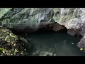 Giant Crayfish, Bats, Spiders, Crabs, Frogs, Amblypigids at Rock Spring Caverns, Jamaica, Sep 2/23.