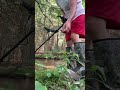 Metal Detecting in  creek with Equinox Minelab 900 Lehman, Pennsylvania